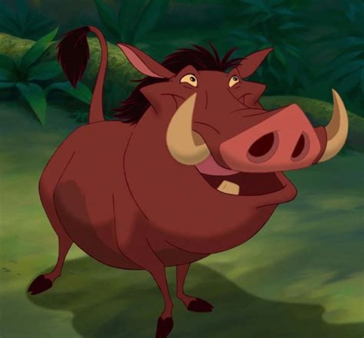 Actor Sabella who played Pumbaa in The Lion King