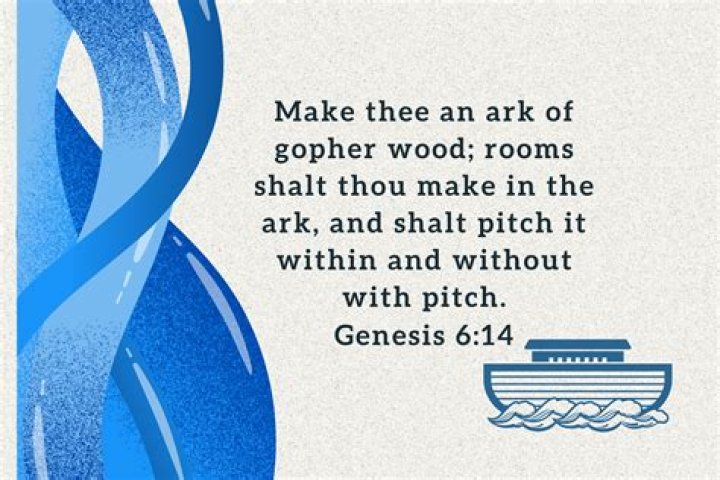 Ark builder in Genesis