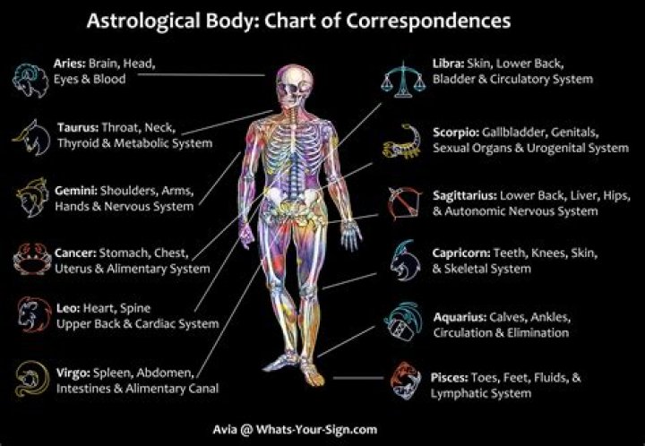 Body part that controls your sense of balance