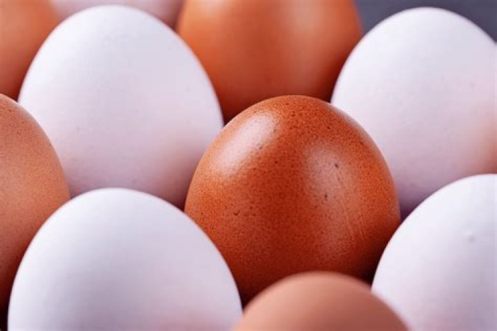 Breakfast item that could have a white or brown shell