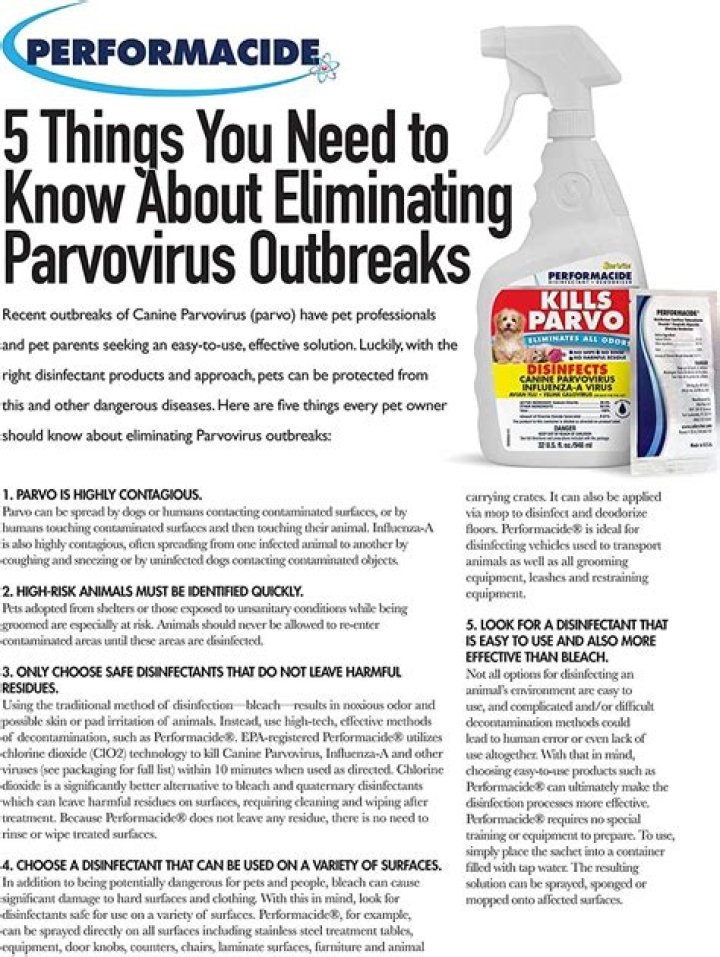 Can I give my dog bleach for parvo?