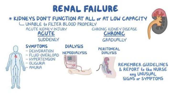 Can ovarian failure be caused by stress?