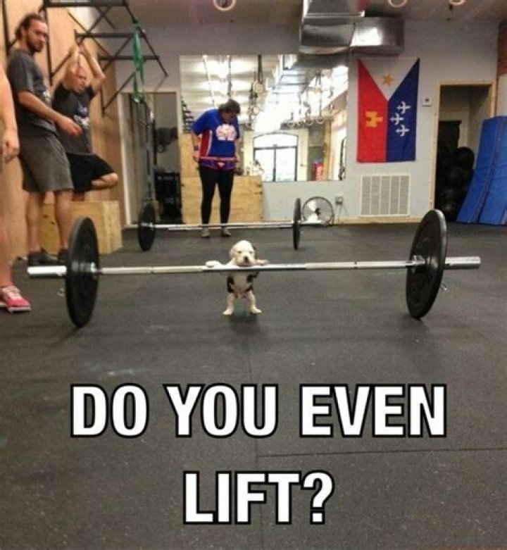 Do you even lift ___? (meme about personal strength)