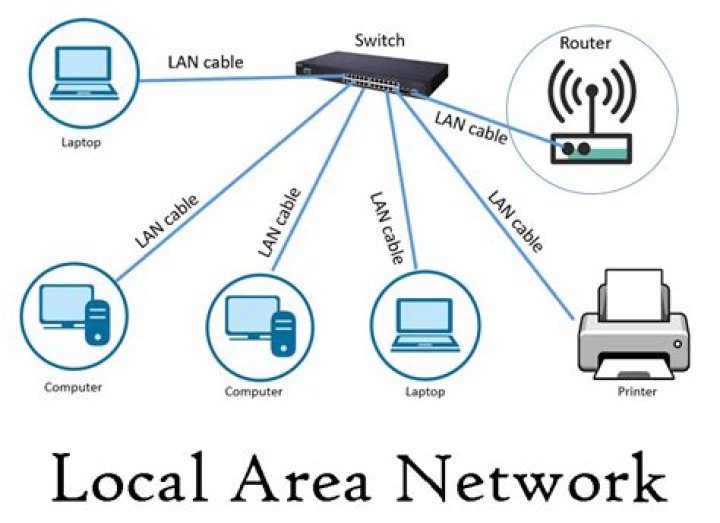 Local ___ network (what the computer term LAN stands for)