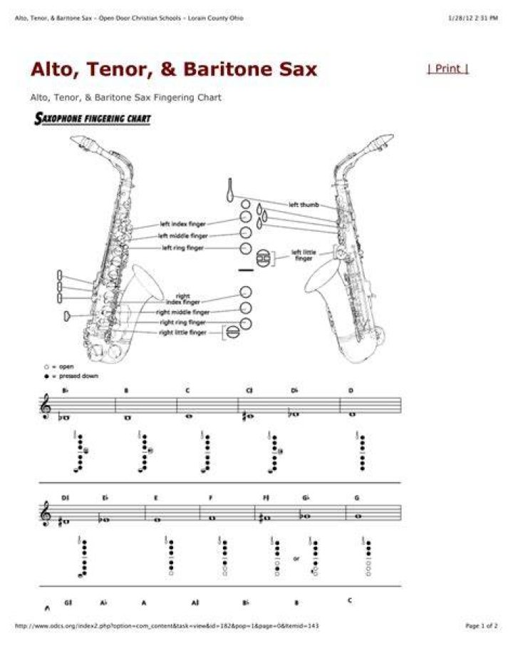 Solo for a tenor or baritone perhaps