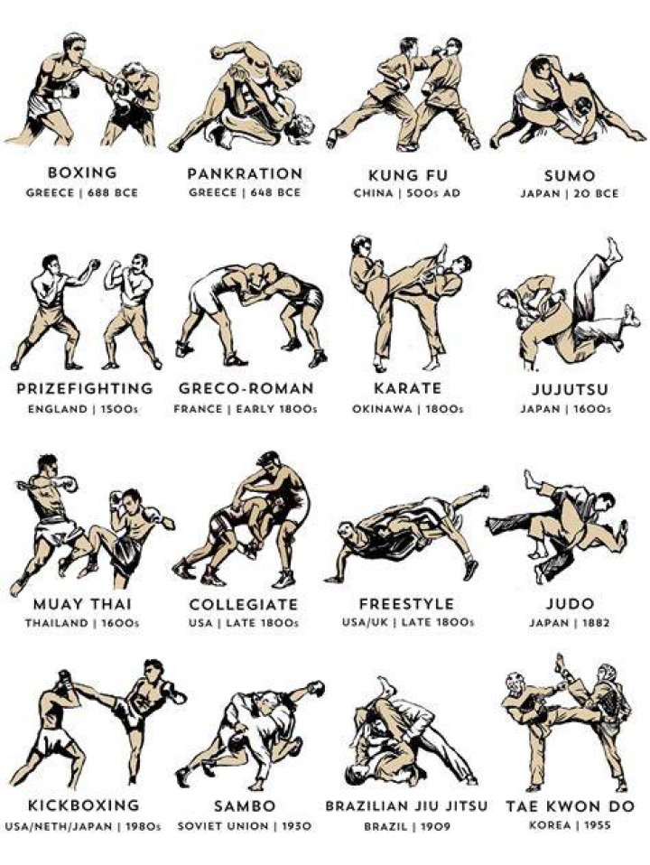 Type of wrestling popular in Japan
