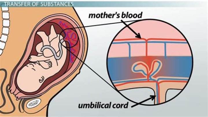What happens if placenta is left inside after birth?