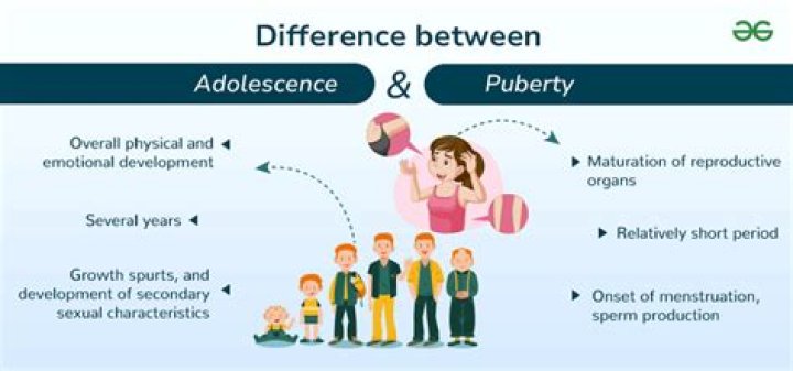 What is the last stage of puberty?