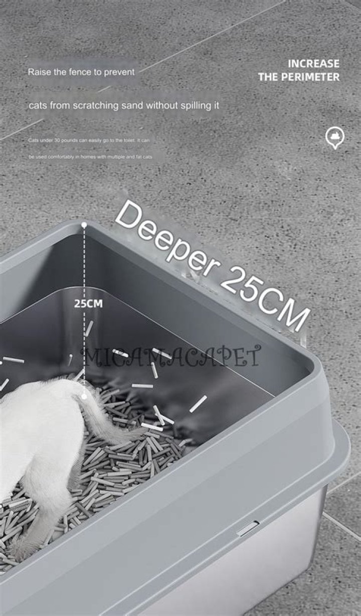 Which is better open or closed litter box?