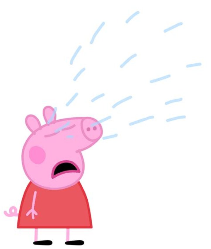 Why does it look like my pig is crying?